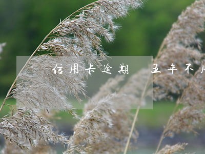 信用卡逾期 五年不用 信用卡逾期 五年不用